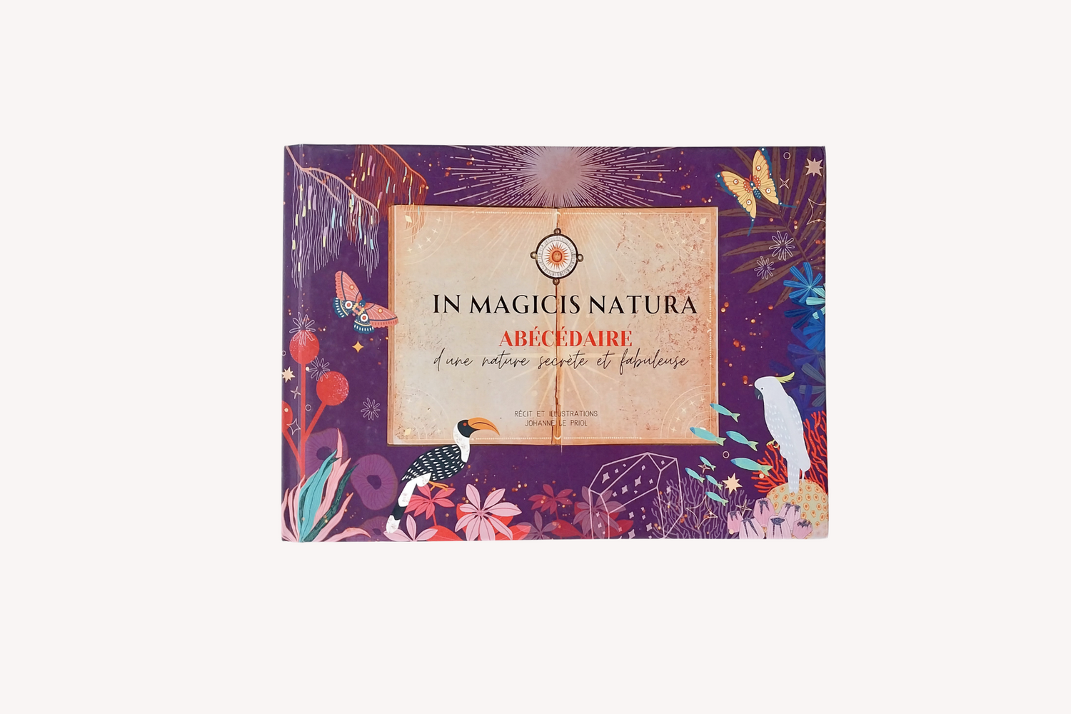Album illustré